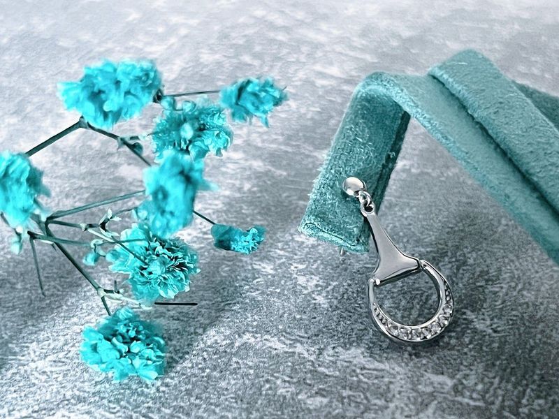 Earrings Sterling Silver & Zicron  Half Snaffle Bit