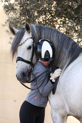 Sale Horse & Rider