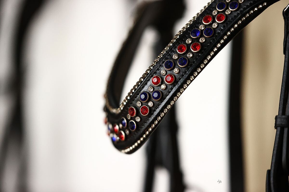 Atlantice Browband