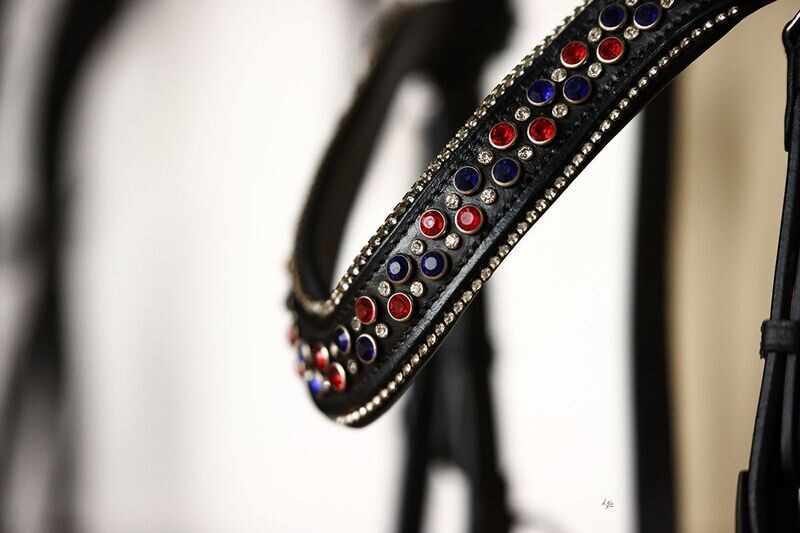 Atlantice Browband