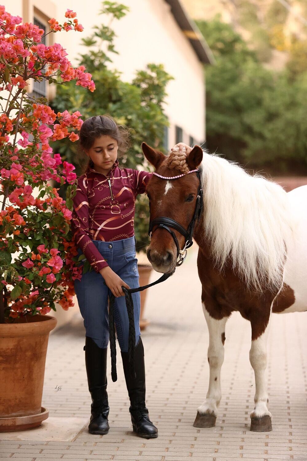 Elite Blush Browband