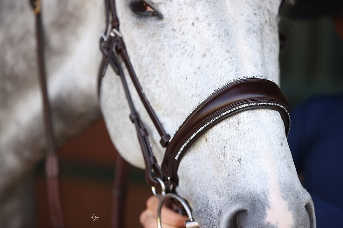 Elite Sophia Cavesson Noseband