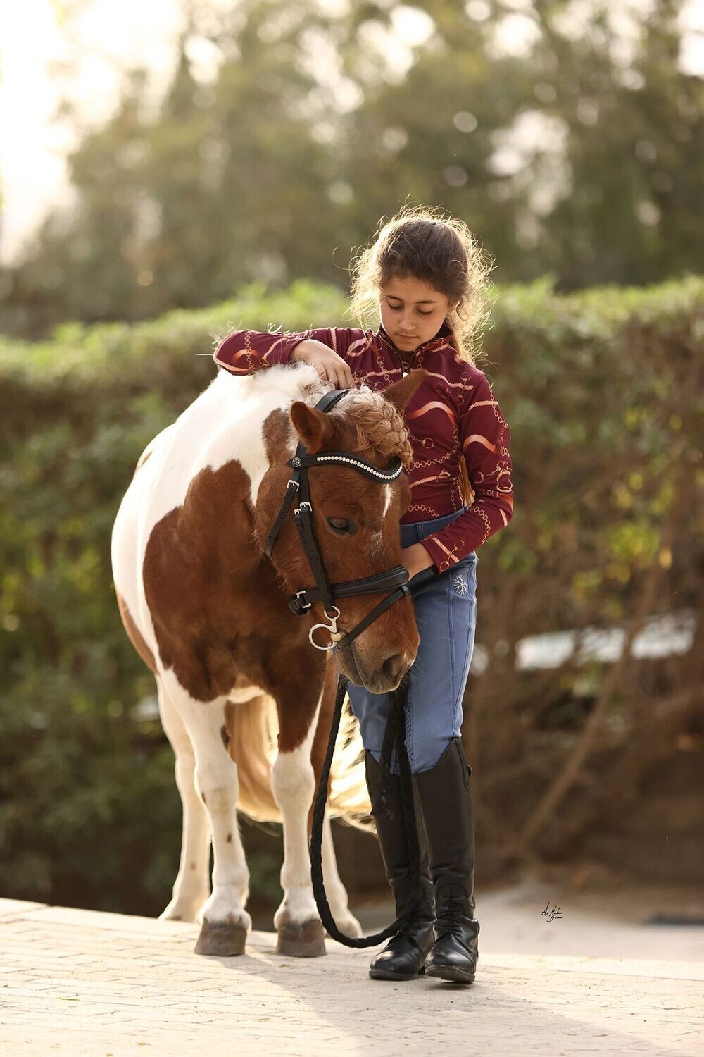 Dainty Bridle Prestige Phantom