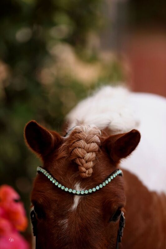 Elite Mint Browband