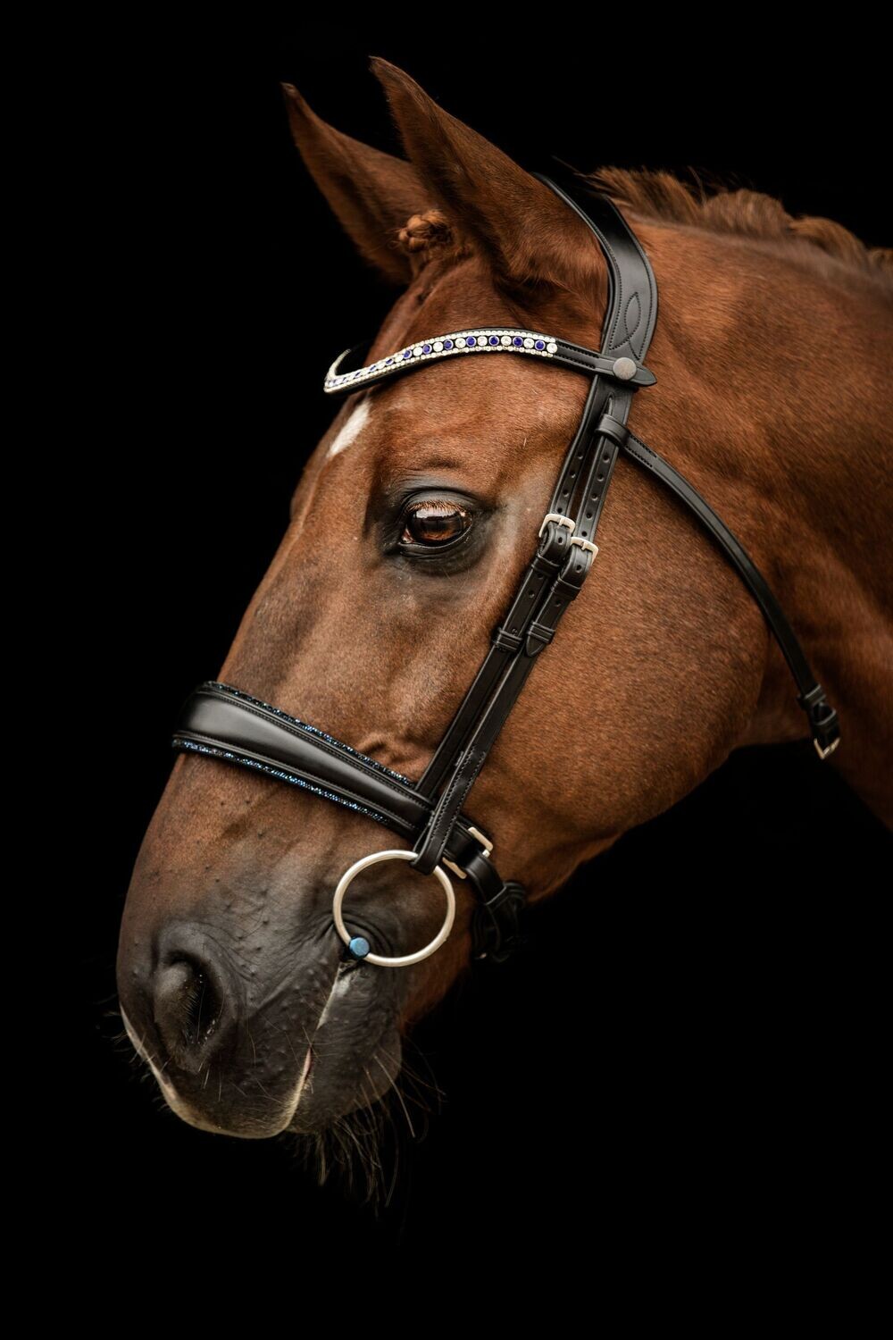 Bridle Elite Azzurro