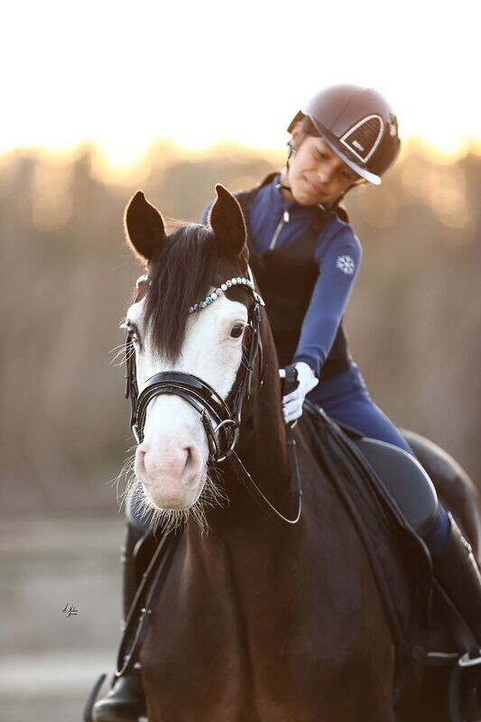Dainty Elite Aura Bridle