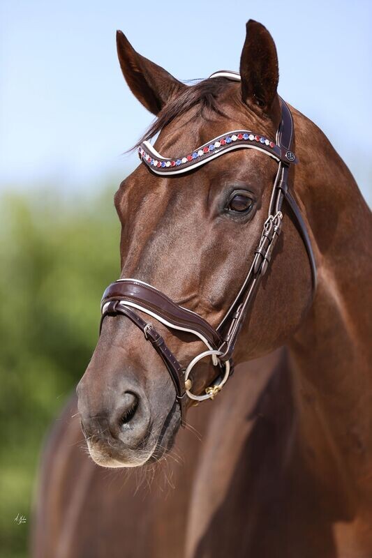 Italian Leather Bridle 