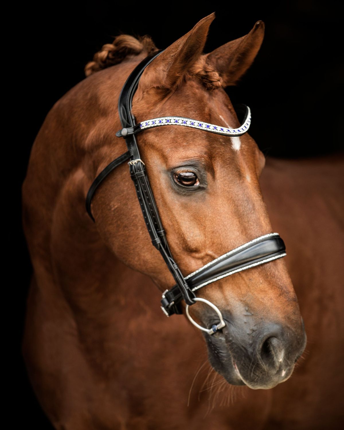 Bridle Elite Sofia Bridle Elite Sofia