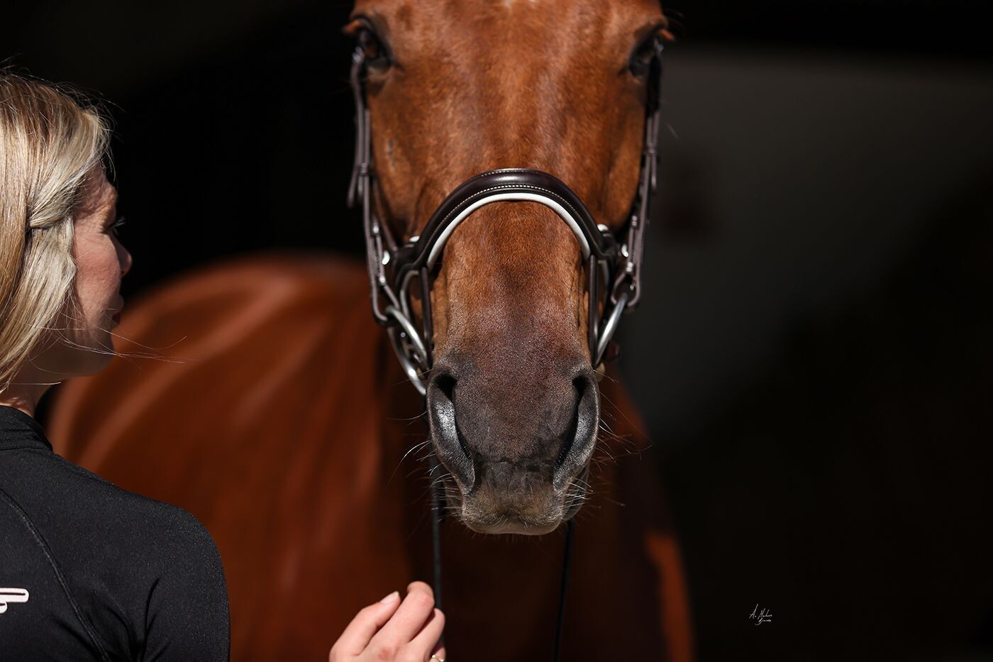 Elite Picassi Noseband