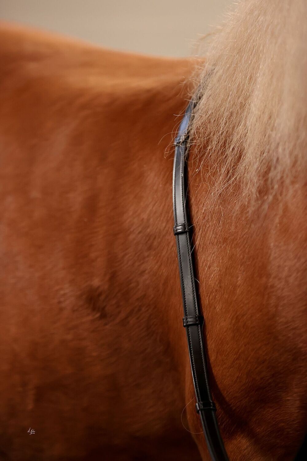 Elite Denon Anti-Slip Reins