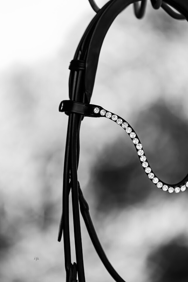 Elite Dove Browband