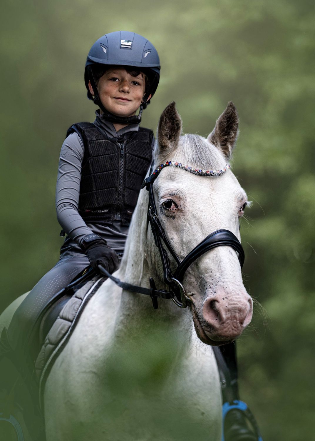 Browband Elite Royal