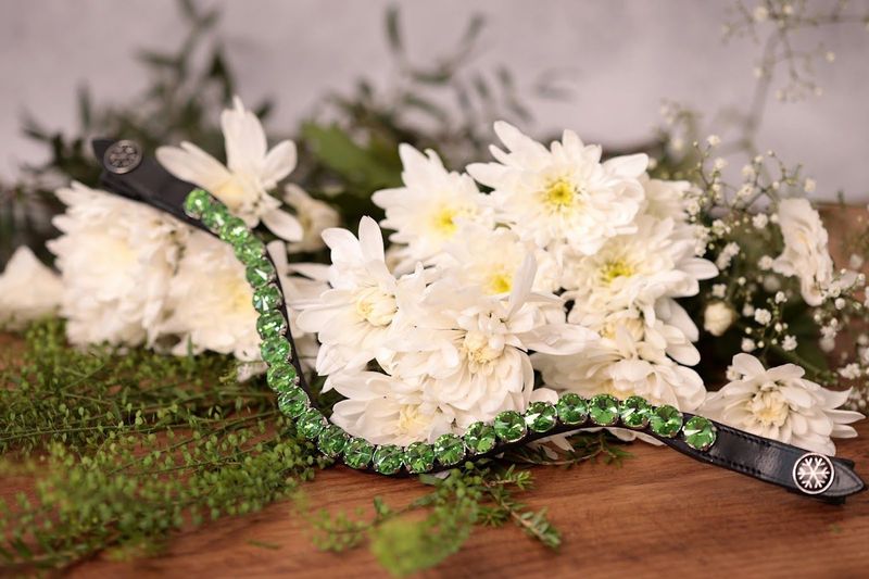 Zest Browband