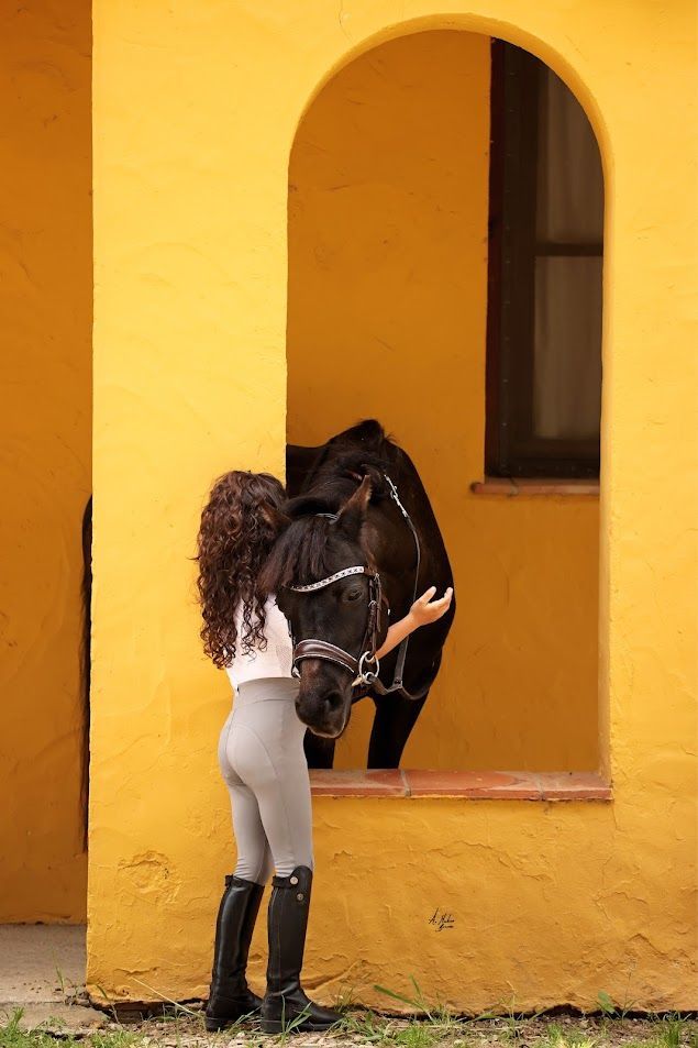 Dainty Elite Sofia Cavesson Noseband