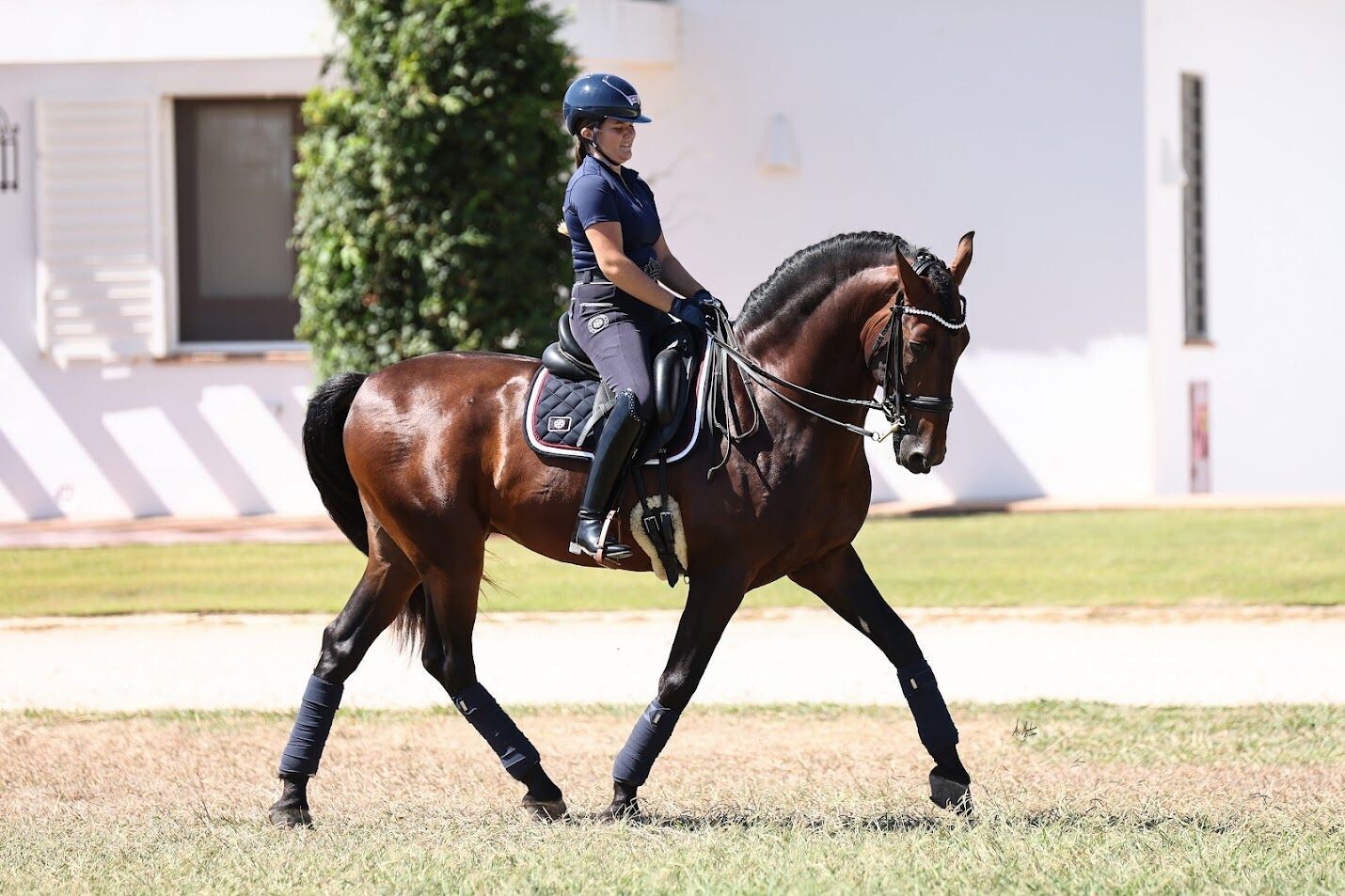 Saddle Pad Levi Navy/Marine
