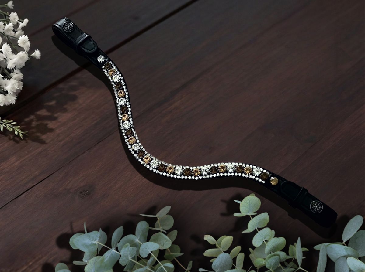 Midnight Oasis Browband
