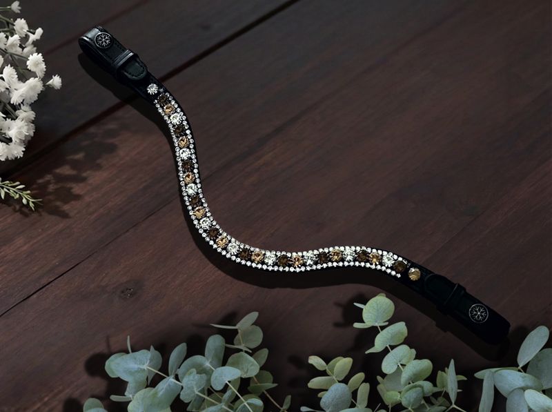 Midnight Oasis Browband