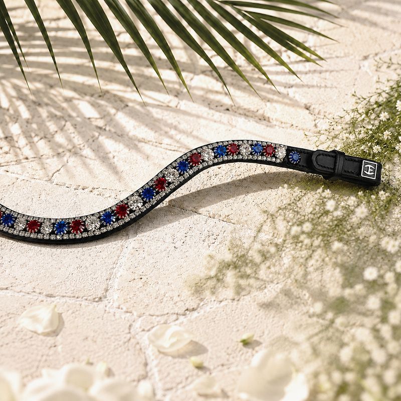 The Valiant Browband