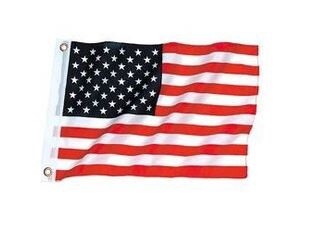 US Flag 9" X 18"