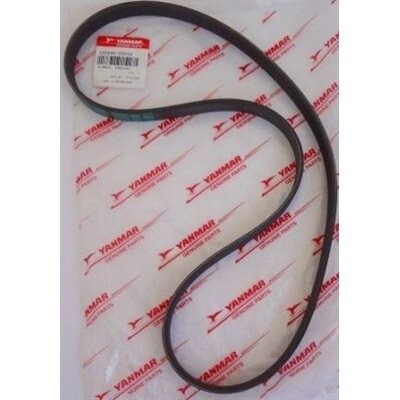 Water Pump Belt 3JH5E 3JH5AE 4JH5E