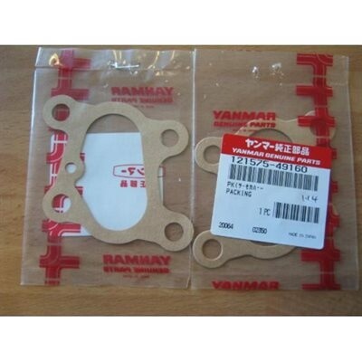 Gasket for Thermostat Cover 3HM