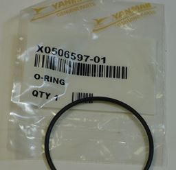 Raw Water Pump Impeller O Ring