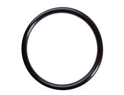 O-Ring (24321-000750)