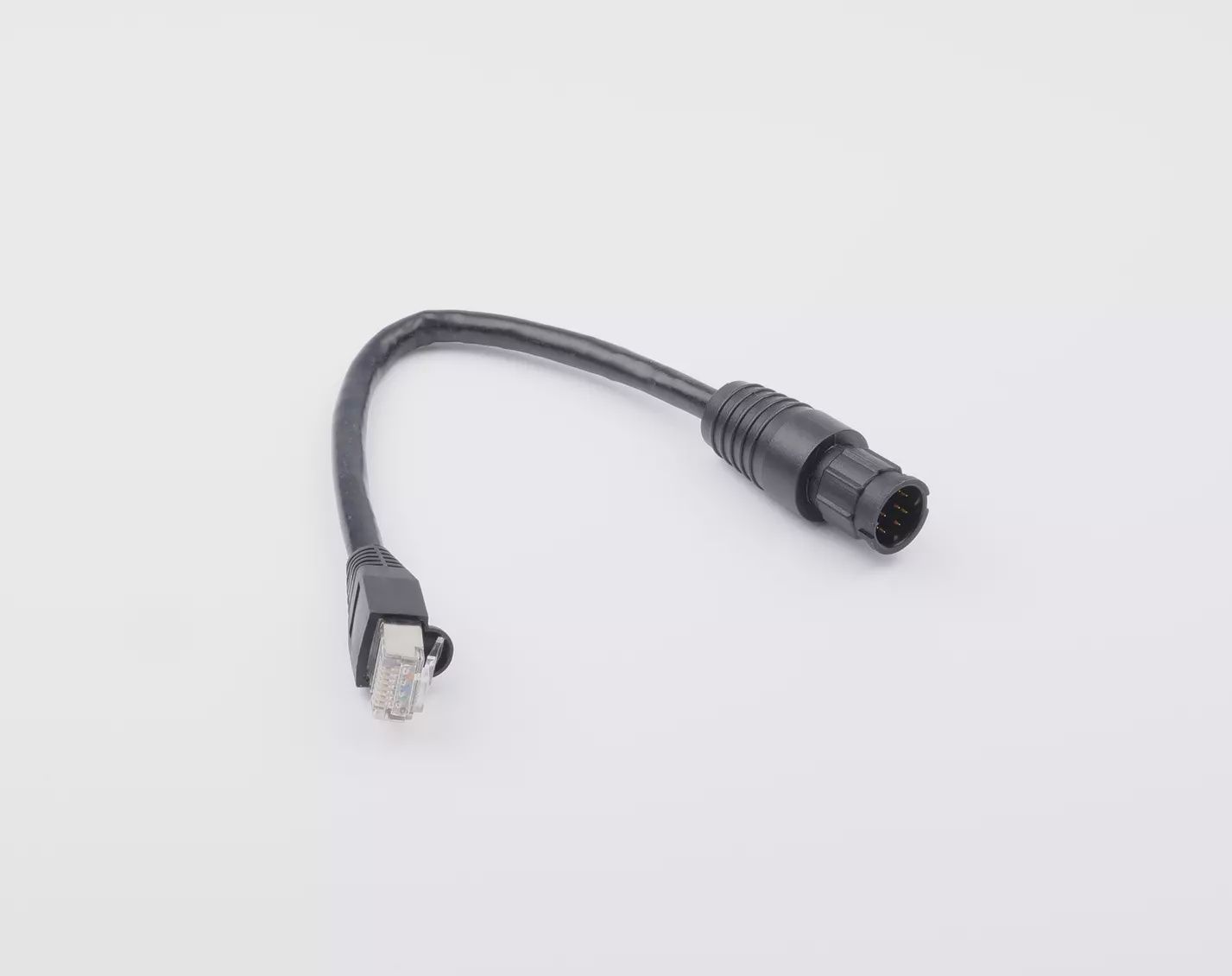 RayNet to RJ45 Male Adaptor Cable 100mm (A80513)