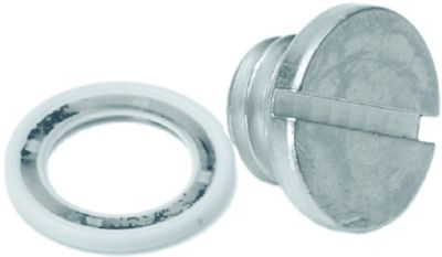 Gearcase Drain Screw Non-Magnetic Mercury (79953Q04)