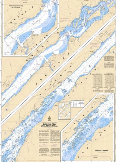 Cardinal to Whaleback Shoal | CHS Chart 1435