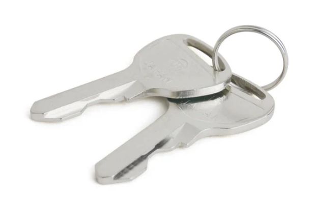 Starting Keys 1GM 2/pk (124070-91290I) Starting Keys 1GM 2/pk (124070-91290I)