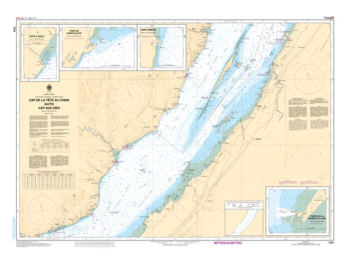 Cap de la Tête au Chien au/to Cap aux Oies  |  CHS Chart 1234