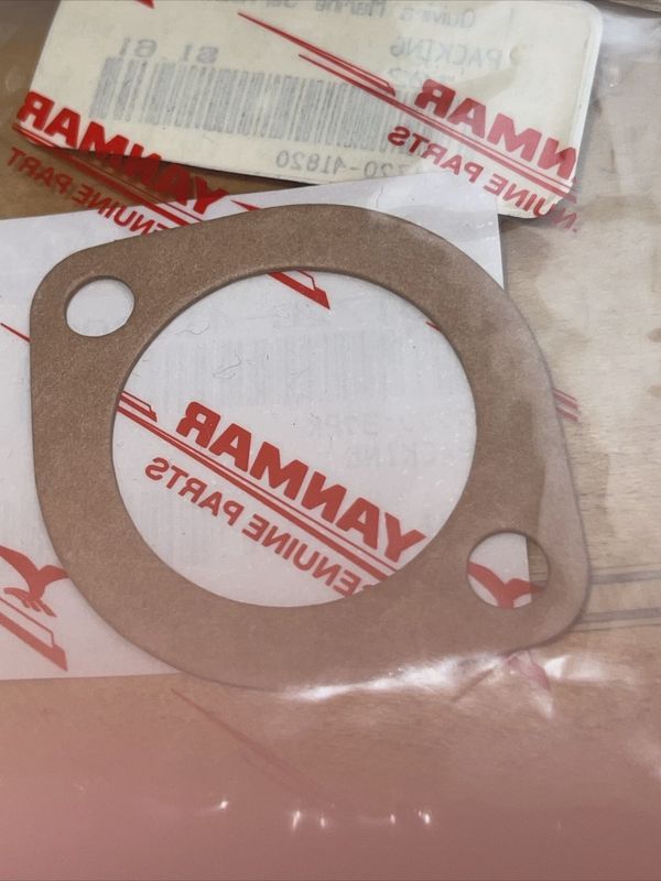 Zinc Flange Gasket   (101720-41820)