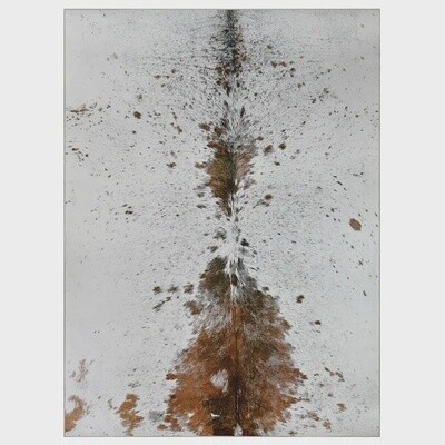 Orion 1124 Rug