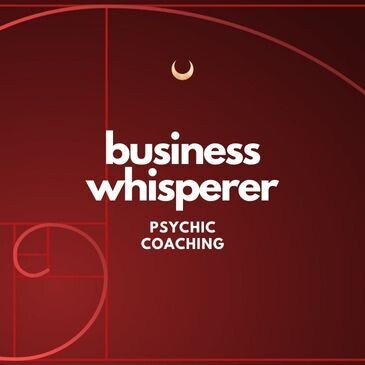 Business or Soul Whisperer Coaching Package