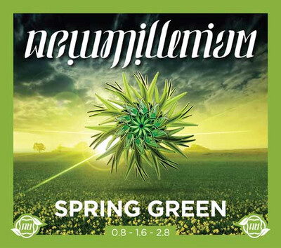 New Millenium Spring Green