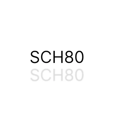 SCH80