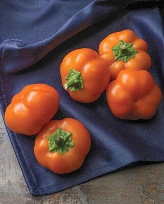 Orange You Sweet Hungarian Orange Peppers: West Coast Seeds