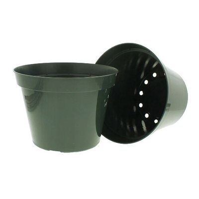 8&quot; Azalea Plastic Pot Green (Standard)