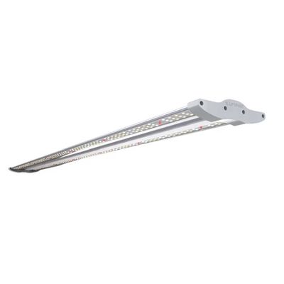 Iluminar ILW Clone, 80W LED, 120/277V, 59&quot; Extra Length