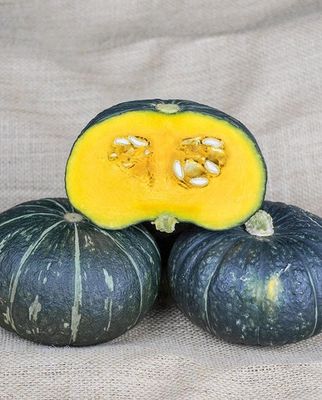 Kurinishiki Mini Buttercup Squash: West Coast Seeds