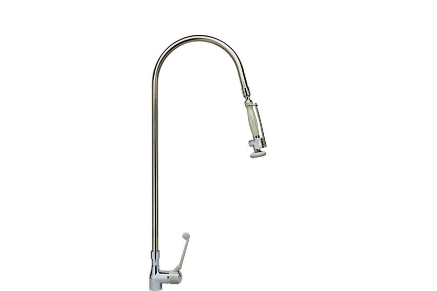 CLASSIC EENGATS VOORSPOELDOUCHE GEBOGEN RVS BUIS EN UITTREKBARE FLEXIBLE