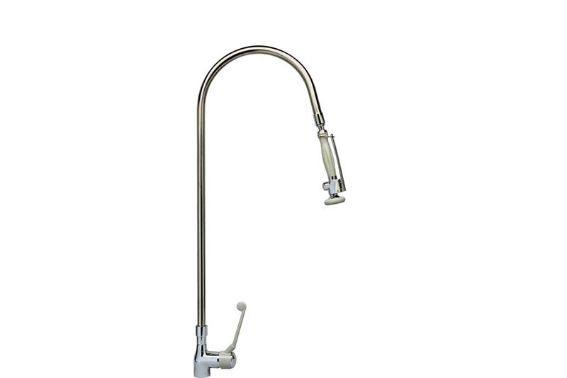 CLASSIC EENGATS VOORSPOELDOUCHE GEBOGEN RVS BUIS EN UITTREKBARE FLEXIBLE
