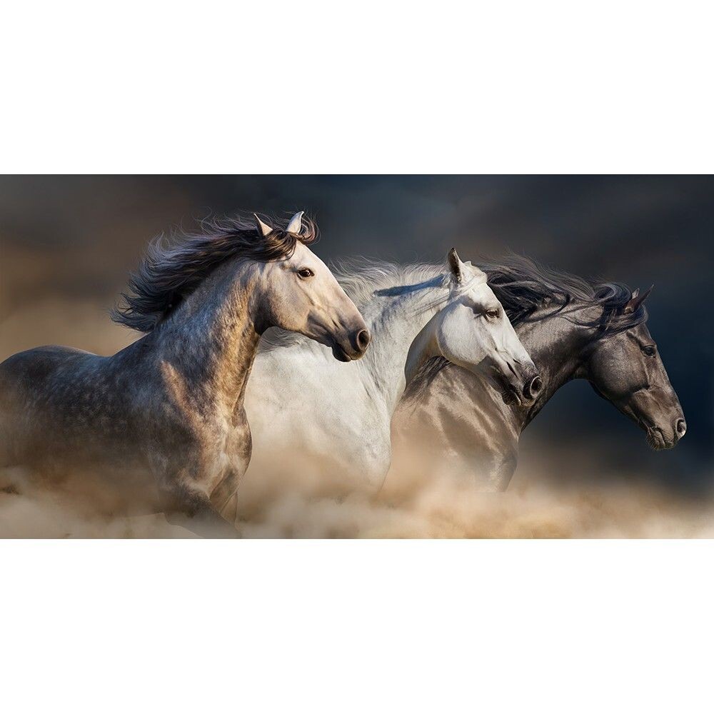CHEVAUX