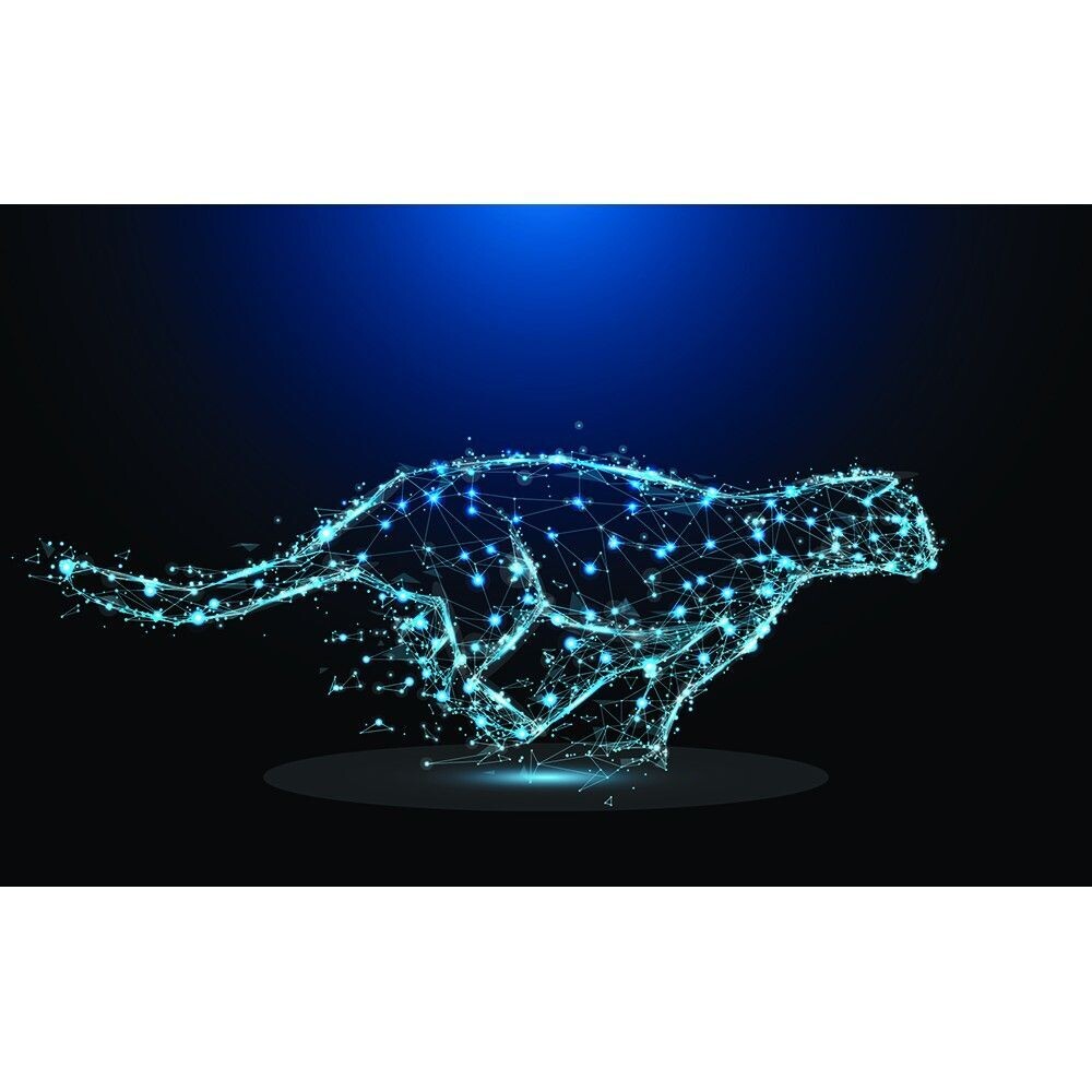 GUÉPARD