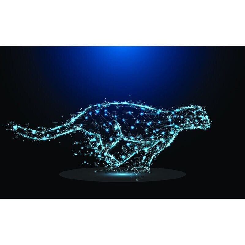 GUÉPARD