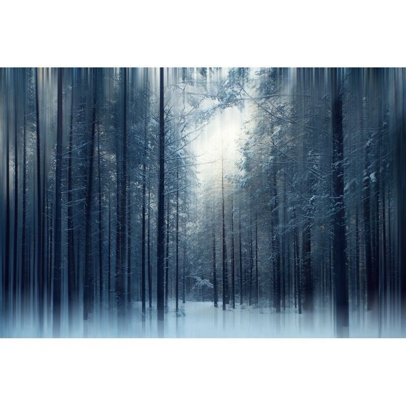 FORÊT ENNEIGÉE