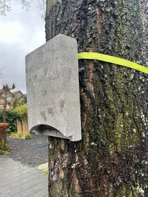 Permanente boom- en gevelkast vleermuizen, vanaf 31,50 euro excl. BTW, incl. verzendkosten