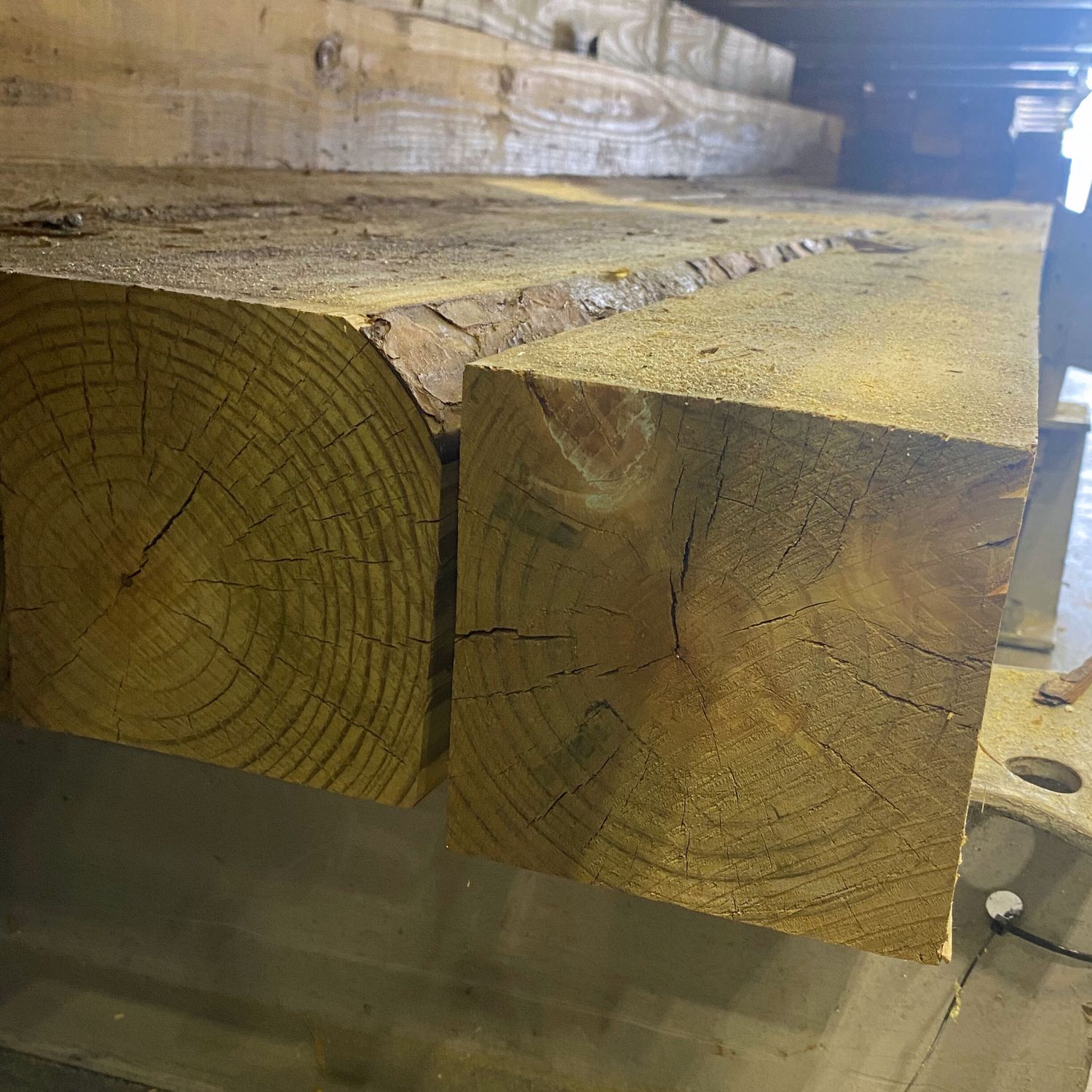 8in x 8in #2 Pine Fresh Water Submersion Treated Lumber