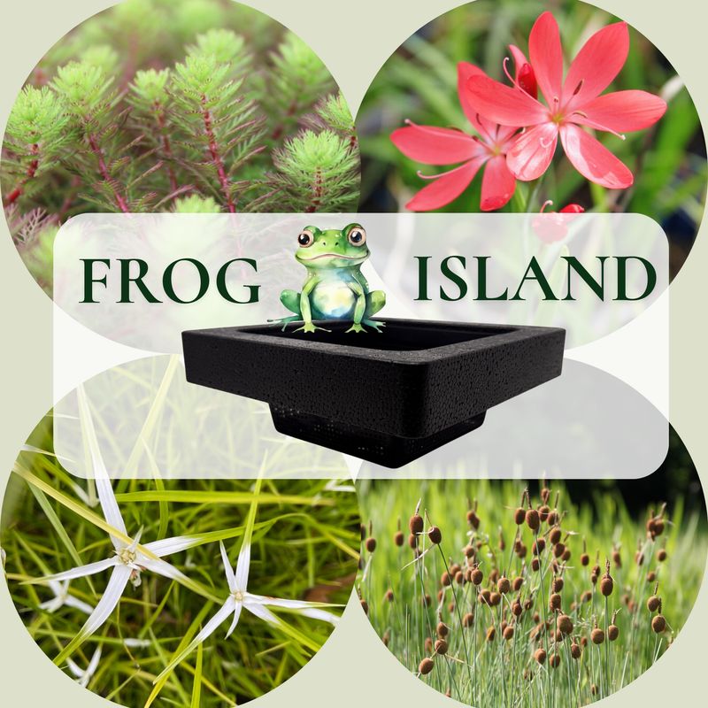 Frog-Island - Schwimminsel inklusive Pflanzen - Reiherschutz- rot